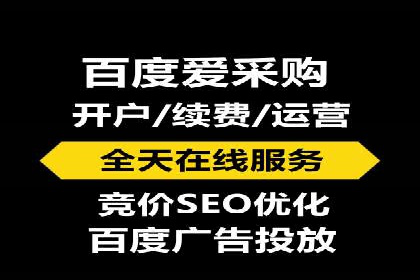行业领先企业的SEM运营策略案例解析